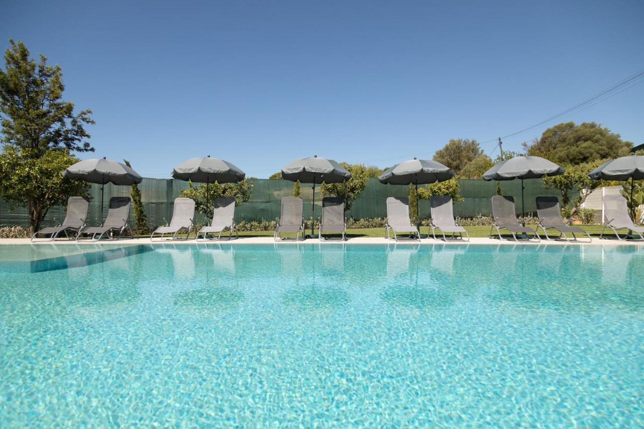 Apartment O Pinhal Do Avo - By Bedzy *