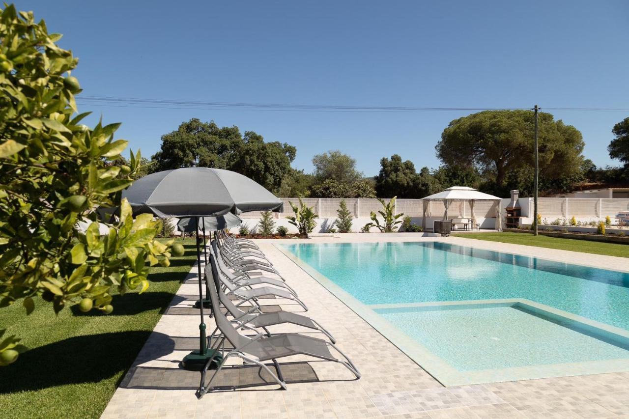 O Pinhal Do Avo - By Bedzy Apartment *
